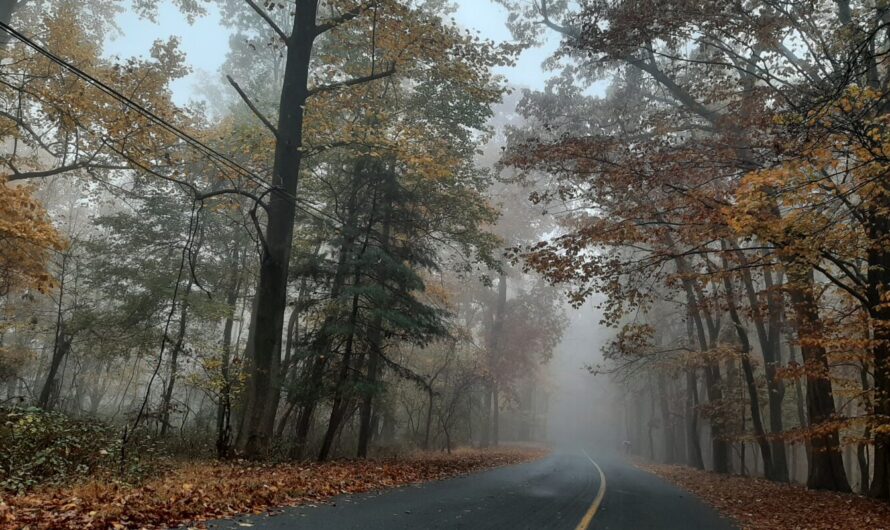 October Stress? Float Away from Chaos, into Autumn Delights.