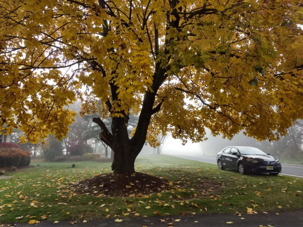 fall stress