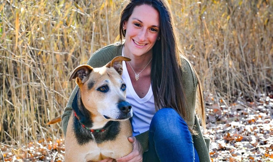 Pet Sitter Megan Expands Service Area, Adds Puppy Wedding Chauffer